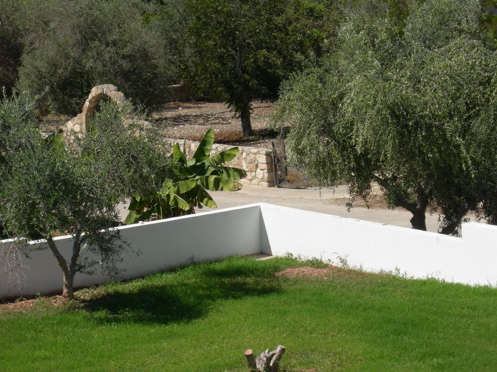Villa Despoina Paphos Exterior photo