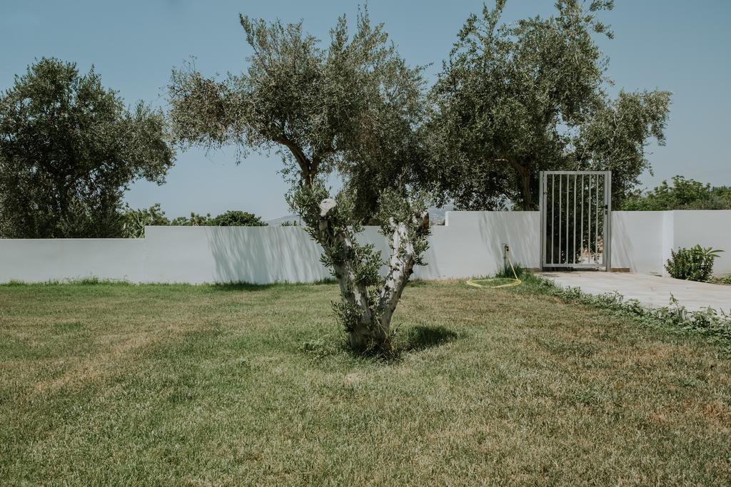 Villa Despoina Paphos Exterior photo